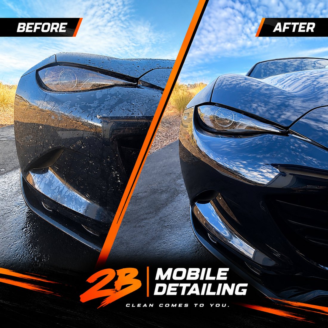 Exterior hand wash and paint care